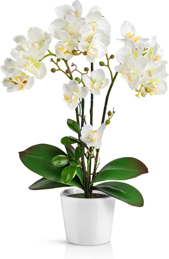 Kunstorchideeën in Hoogglans Keramische Potten (46 cm), Kunstbloemen Als Echt, in Pot (Wit)