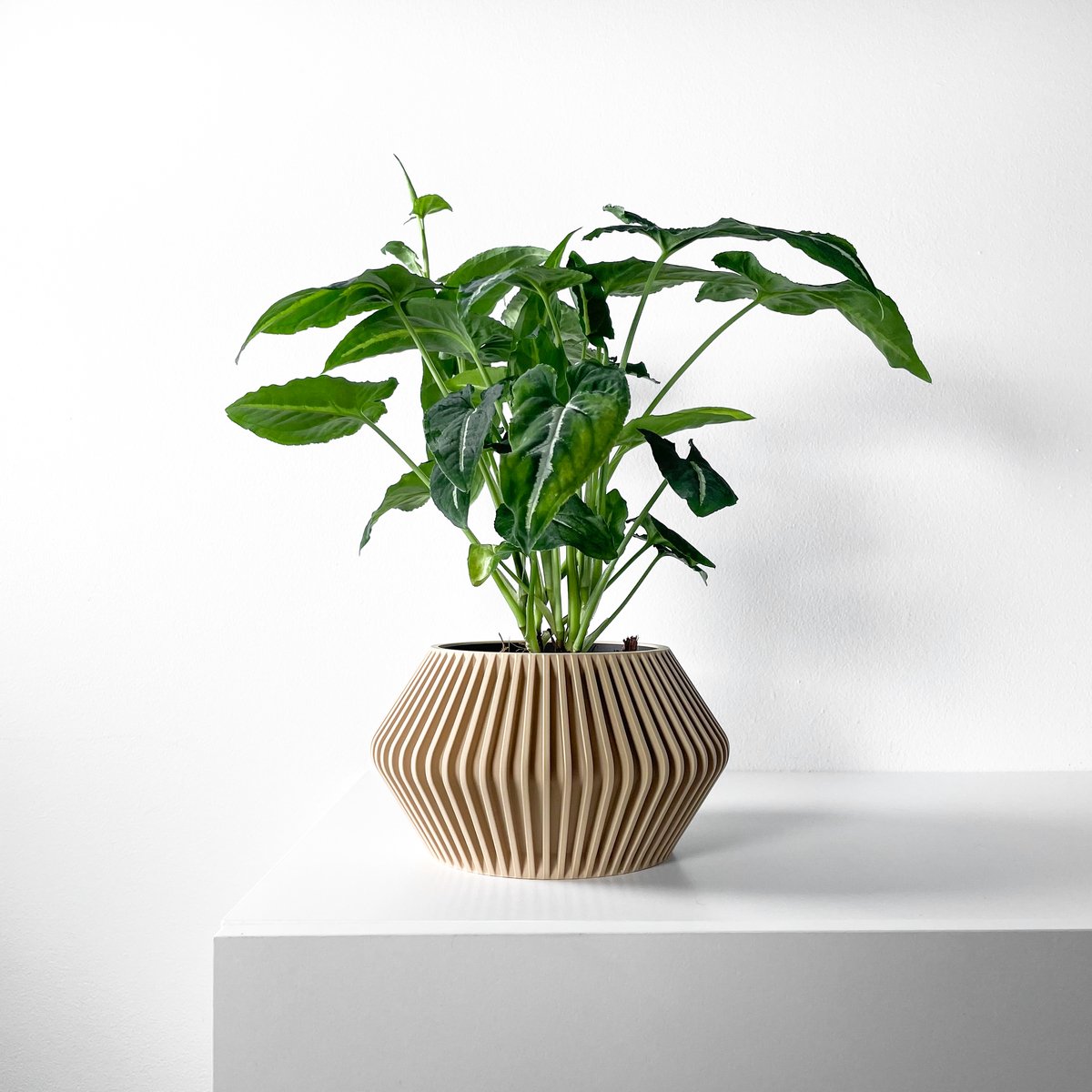 Skushy Hendro Bloempot - Moderne Designpot voor Kamerplanten - Sculpturale Plantenpot voor Woonkamer en Kantoor - Premium Woondecoratie