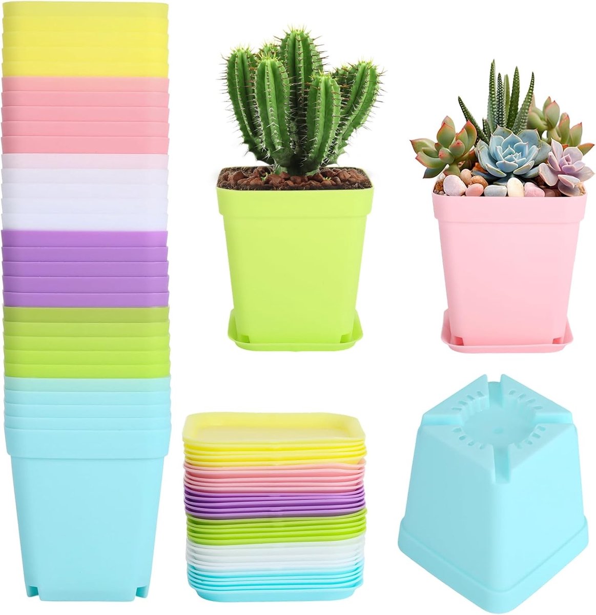30 Stuks Transparante Plantenpotten met Schotel, 7 cm Diameter, Ideaal voor Zaden, Vetplanten en Zaailingen