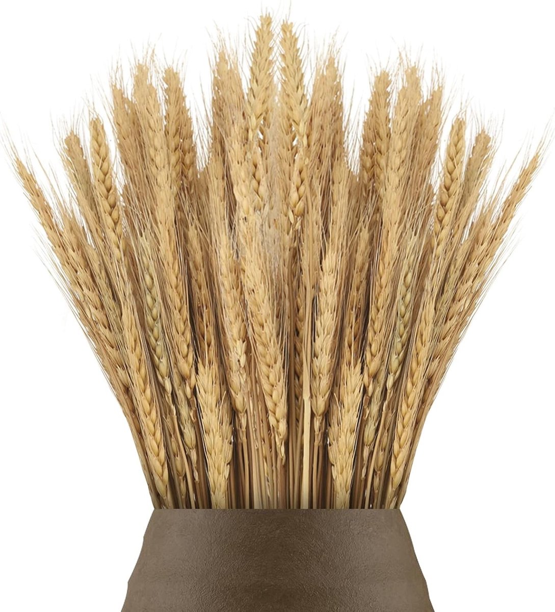 Dried Wheatgrass Boeket van 100 Stuks - 40cm Lange Droogbloemen voor Decoratie van Huis, Tafel en Bruiloften