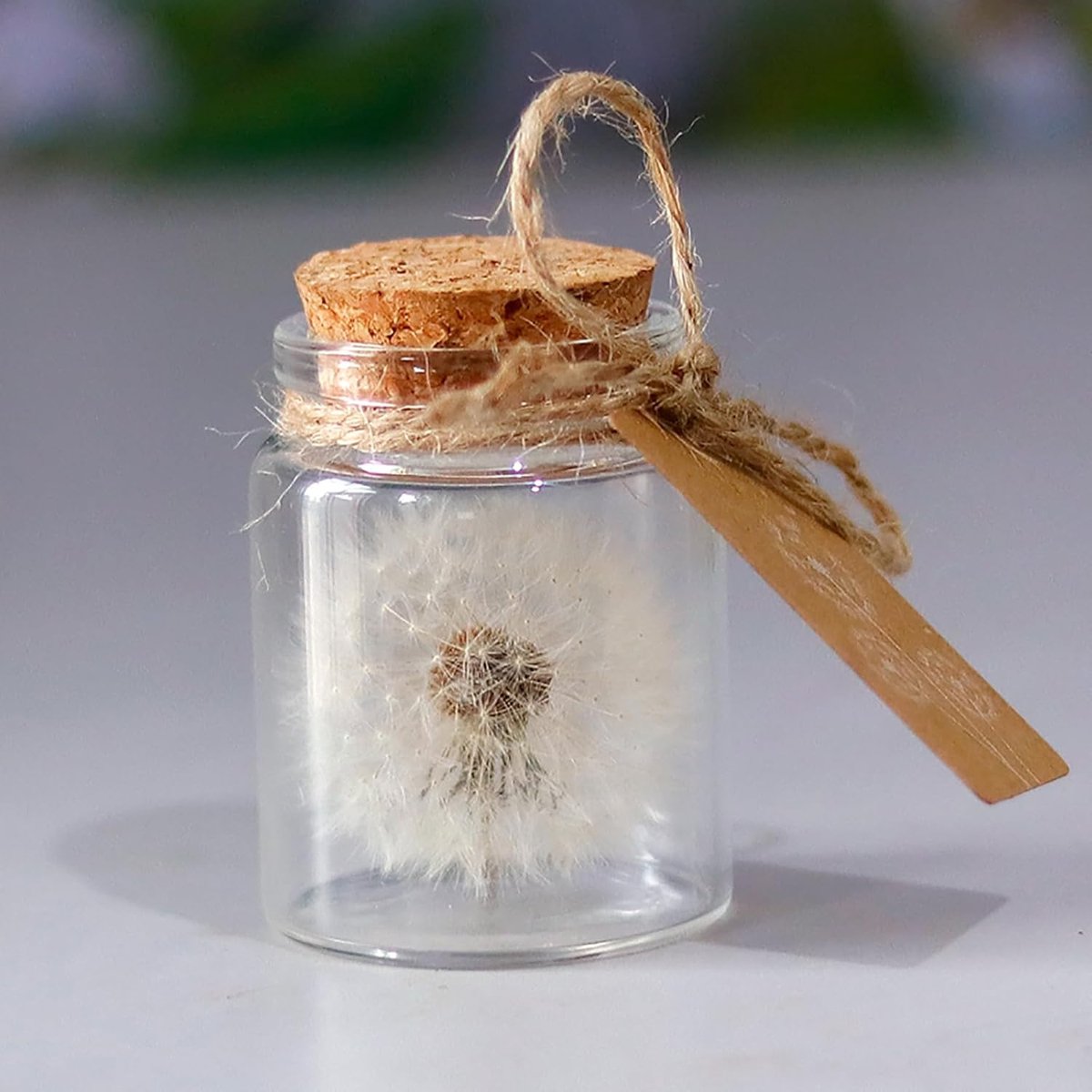 Shirene Echte paardenbloem in een glas, handgemaakt spiritueel cadeau, gedroogde bloemendisplay, meerdere - ShopVlot
