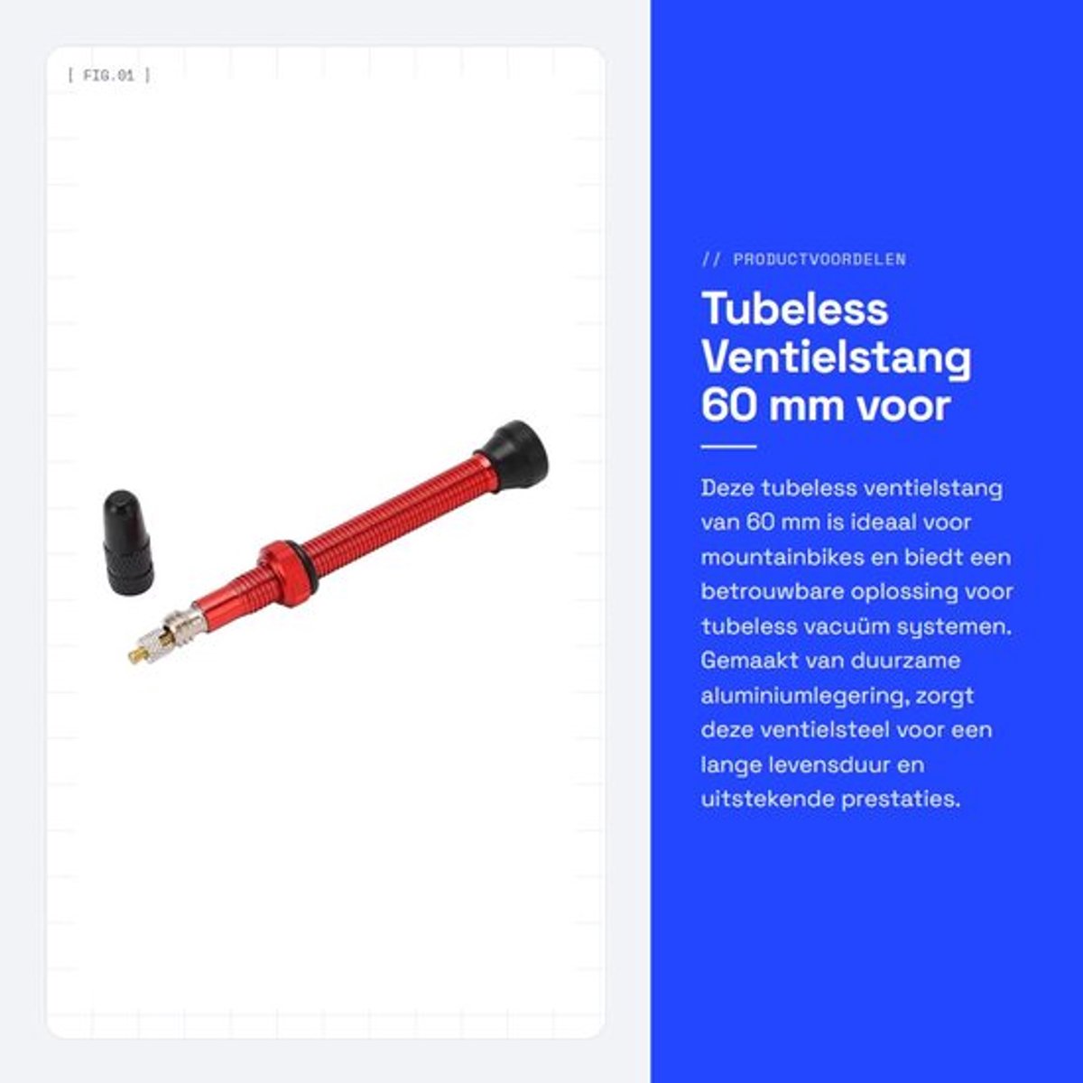 Ventielstang 60 mm - Presta Ventielsteel - Aluminiumlegering - Tubeless Fietsaccessoire - Lichtgewicht - Verwijderbare Klepkern - Ventiel