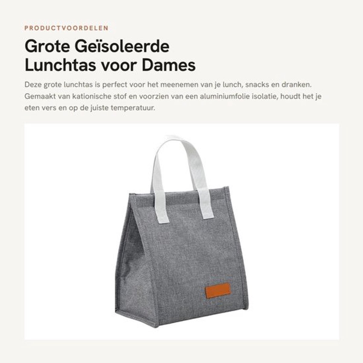 Lunchtas Grote Capaciteit - Geïsoleerde Container - Kationische Stof - Waterdicht - Draagbaar Voedselpakket - Afmetingen 22x13,5x24 cm - Lunchbox