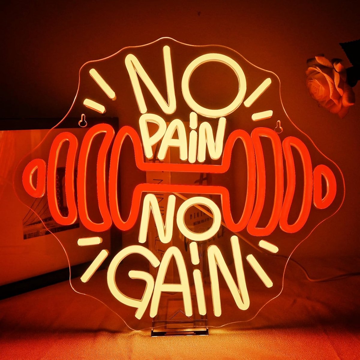 ineonlife No Pain No Gain Gym Neon Sign Halter LED Sign Dimmable Orange Dumbbell LED Sign for Gym Wall Decoration Gym - ShopVlot