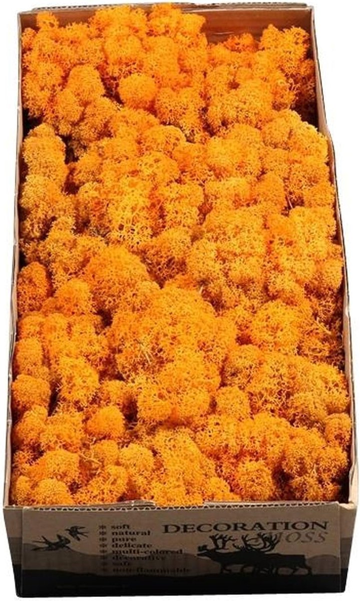 Flowerbox Box of Icelandic moss orange - 500g - ShopVlot