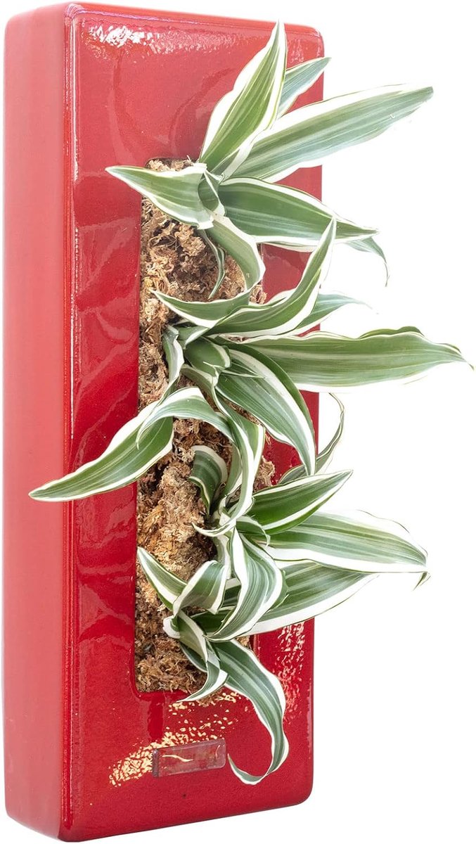 Flowerbox Box 40 - red - 40x16 cm - ShopVlot