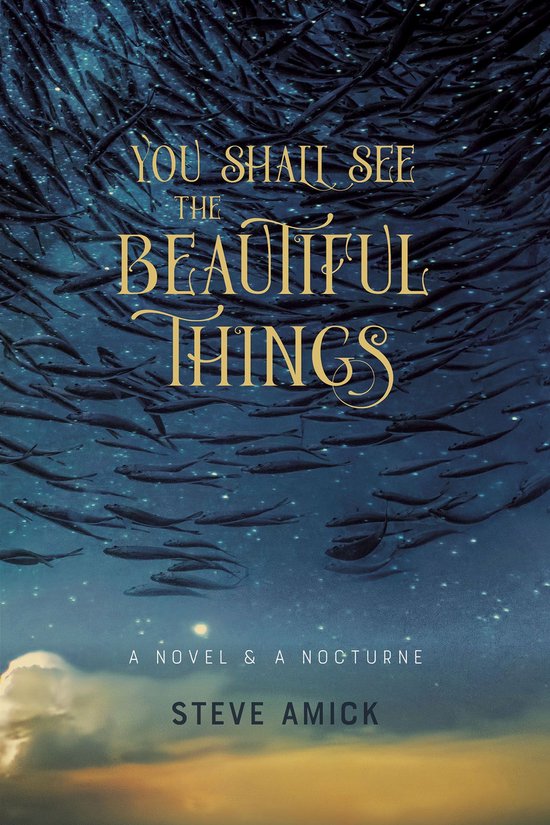 You Shall See the Beautiful Things – A Novel & A Nocturne - cover