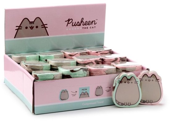 Displaydoos met Pusheen de kat thema, gevuld met opgerolde handdoekjes in roze en mintgroen.