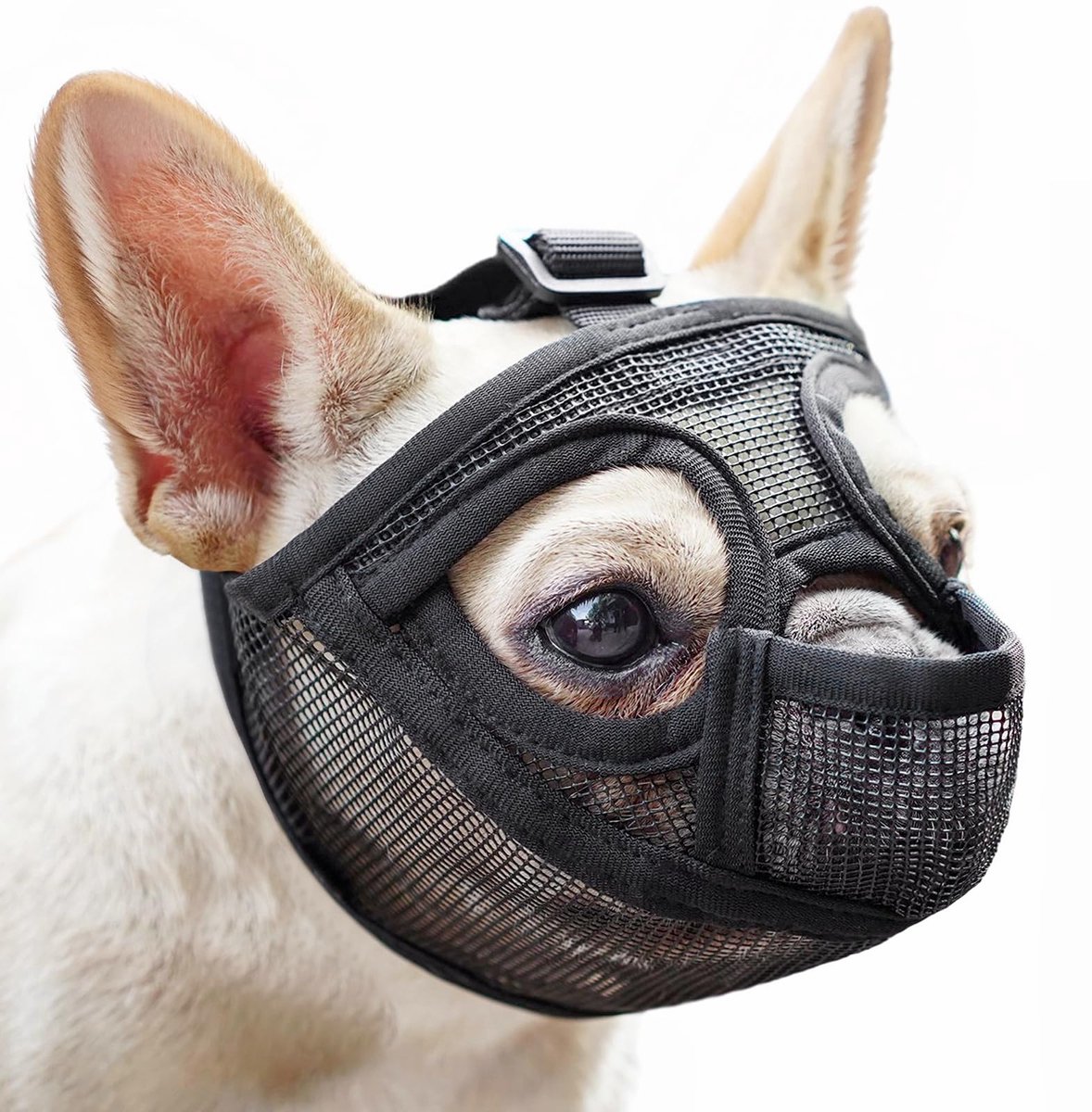 SnelShoppen - Korte muilkorf voor honden - Ademend mesh, voor Franse Bulldog, Shih Tzu, Engelse Bulldog - Voorkomt bijten en eten - Ideaal voor wandel