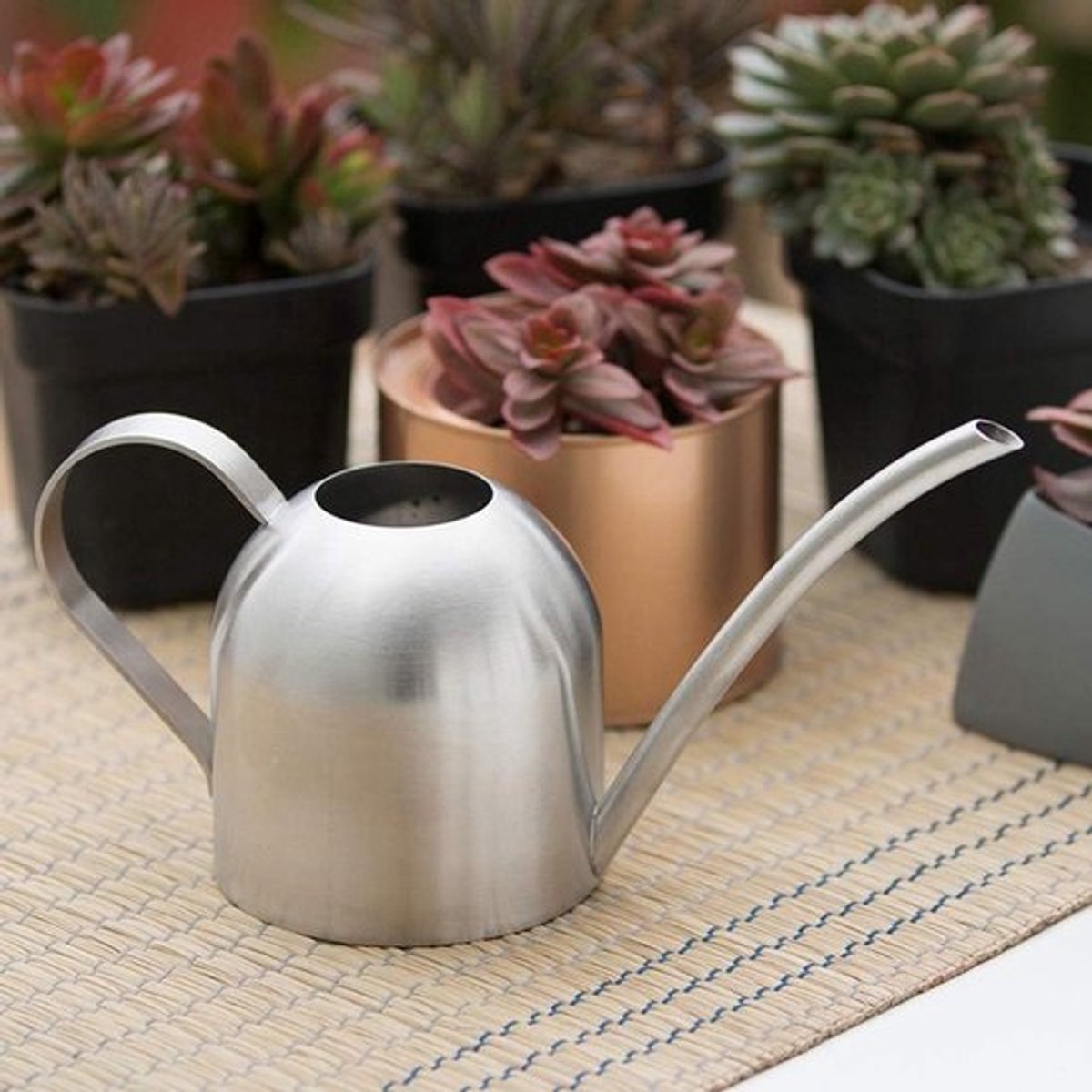 Gietkan van RVS voor binnen en buiten, ideaal voor planten en bloemen, lange tuit, 1000ml capaciteit
