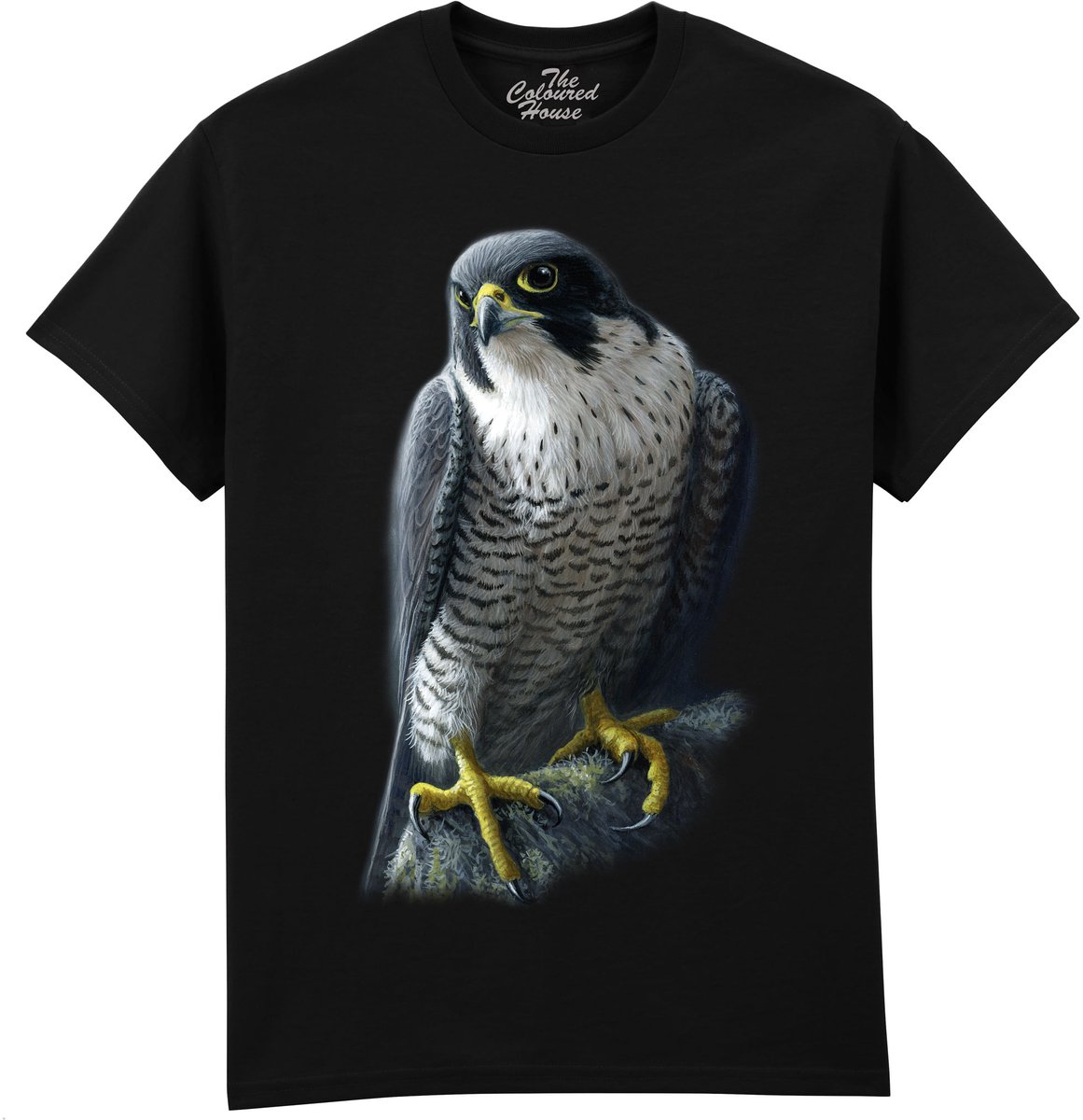 Slechtvalk Peregrine The Coloured House T-shirt S