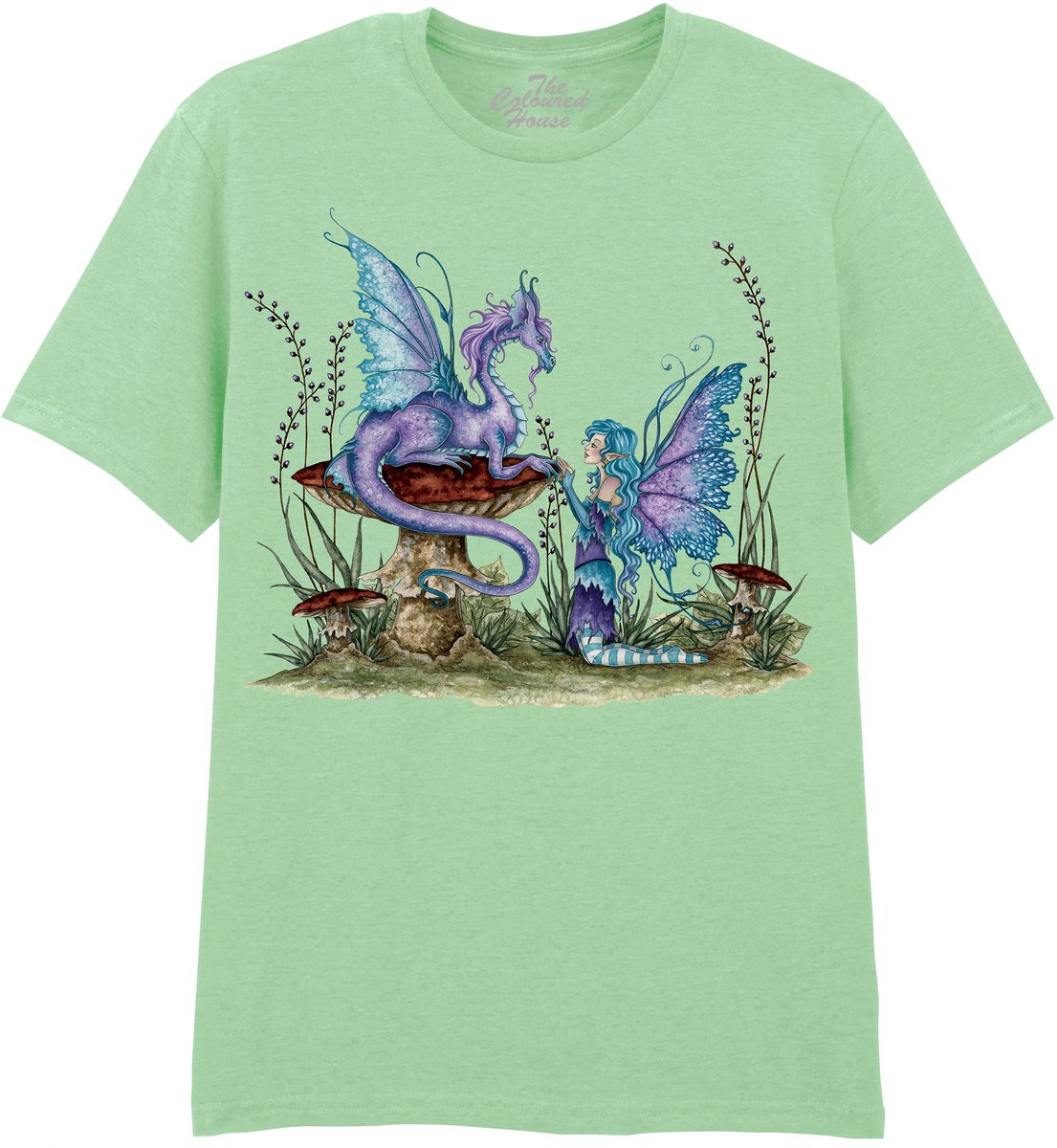 Companions The Coloured House T-shirt 3XL