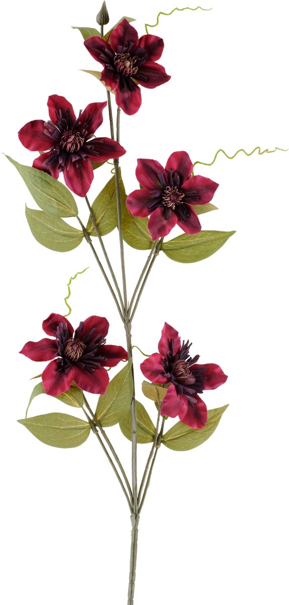Easyplants | Kunstbloem Clematis 78 cm bordeaux | Zijde | Nepbloemen | bordeaux | Onderhoudsvrij | Kant-en-klaar
