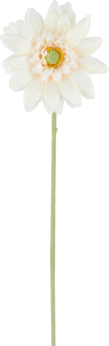 Easyplants | Kunstbloeme Mini Gerbera 47 cm creme | Zijde | Nepbloemen | creme | Onderhoudsvrij | Kant-en-klaar