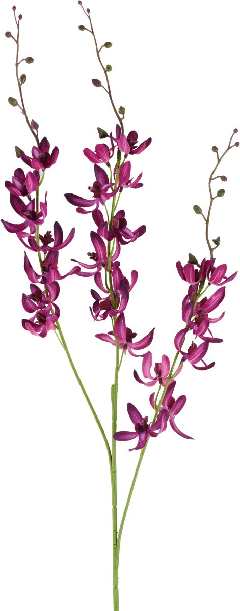 Easyplants | Kunstbloem Cymbidium 95 cm paars | Zijde | Nepbloemen | paars | Onderhoudsvrij | Kant-en-klaar