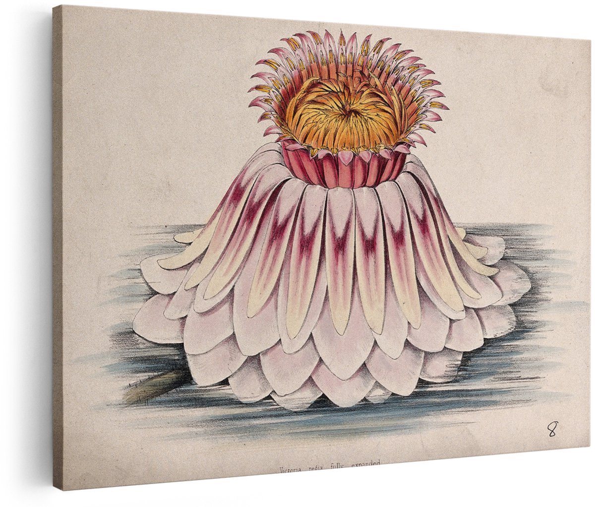 Artaza Canvas Schilderij Bloemen - 180x120 cm - Groot - Vintage Wanddecoratie Waterlelie - Muurdecoratie Botanische Illustratie - Decoratie Woonkamer