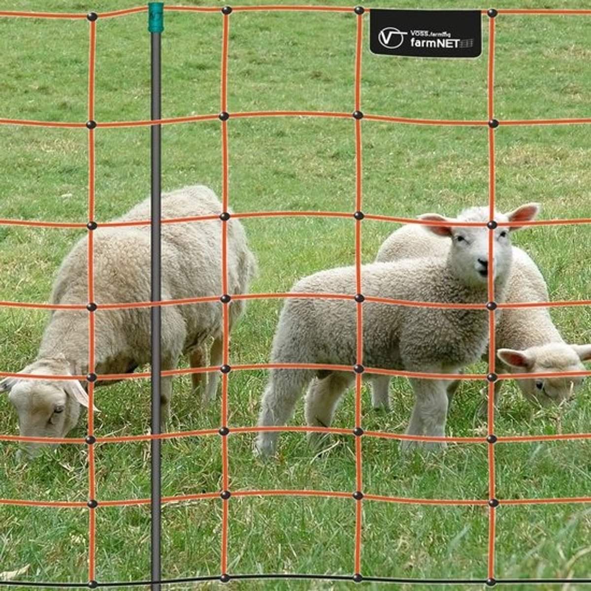 Elektronisch Net - Schaap Geiten Hek - Veilig Omheinen - 14 Stevige Palen - 90cm 50 Meter - Oranje