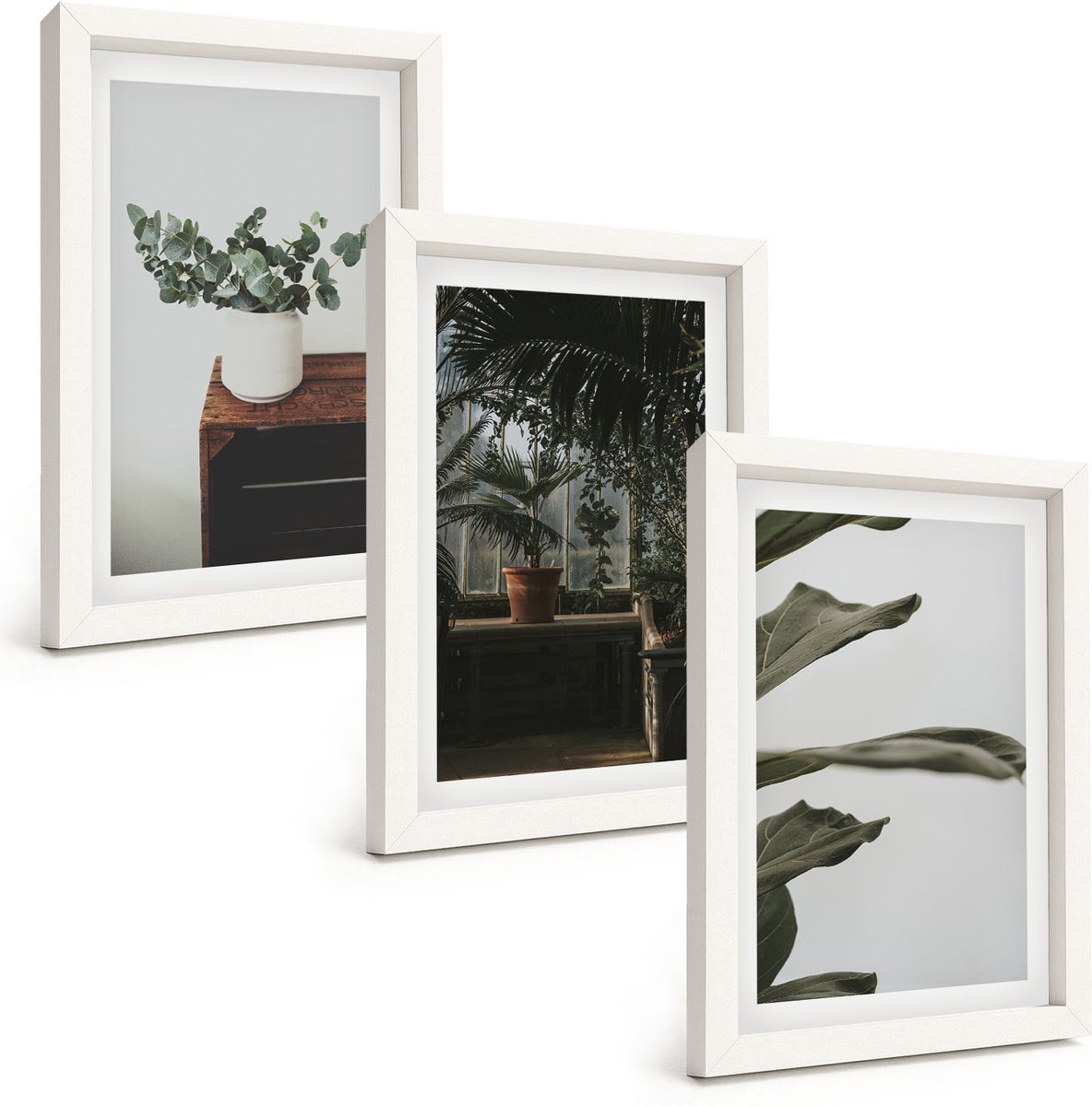 Wallfluent 3-Delige Schilderij Set - Rustieke Bladeren Potplanten - 20 x 30 - Schilderijen Set - Wanddecoratie - Woonkamer - Muurdecoratie