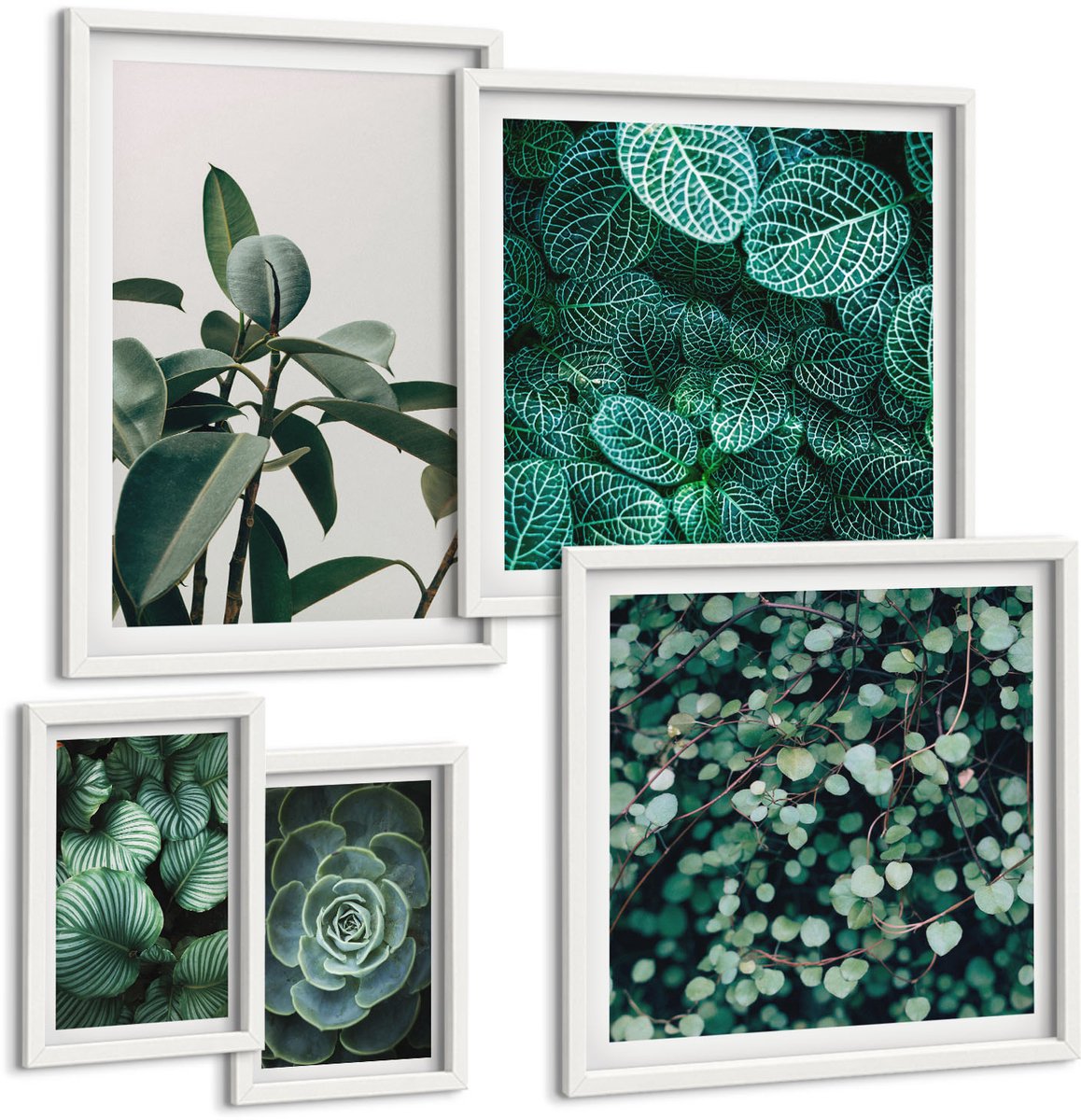 Wallfluent 5-Delige Schilderij Set - Plantmotieven Met Groene Bladeren En Vetplanten - 50 x 50 cm, 20 x 30 cm En 40 x 60 cm - Decoratieve Muurdecoratie - Slaapkamer - Interieur Decoratie