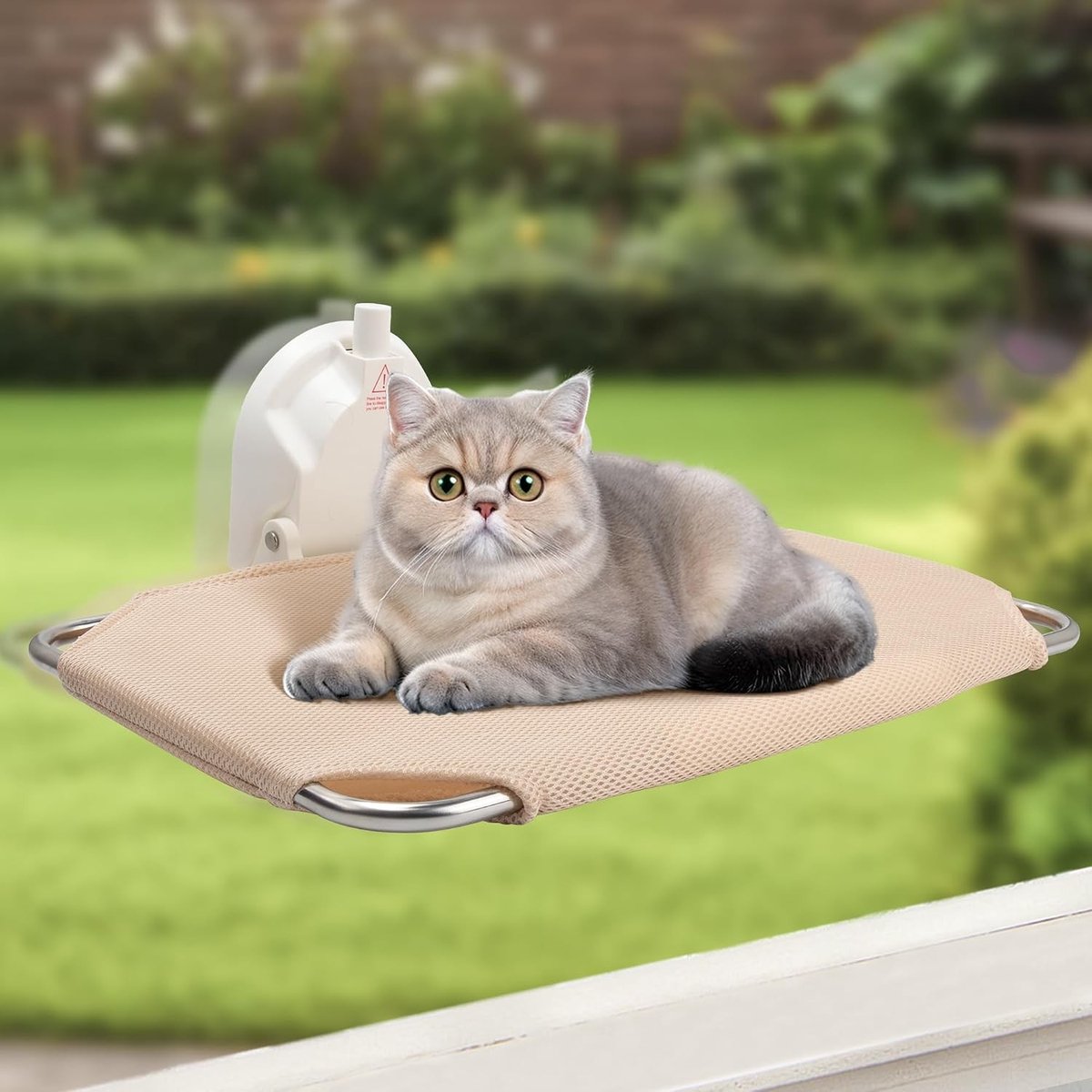 Zijdevenster Hangmat voor Katten - Opvouwbaar Kattenbed met Sterke Zuignappen en Dikke RVS Steun tot 25 kg, 46 x 30 cm - Comfortabele Lounger voor Binnenkatten
