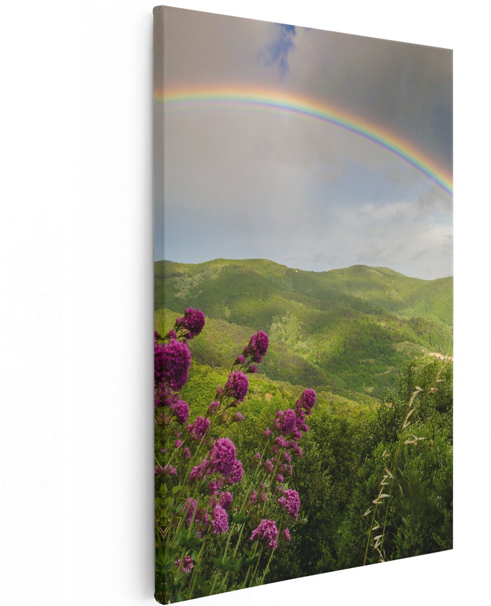 Artaza Canvas Schilderij Regenboog in de Heuvel Bossen - 120x180 cm - Groot - Wanddecoratie Woonkamer - Schilderijen - Muurdecoratie