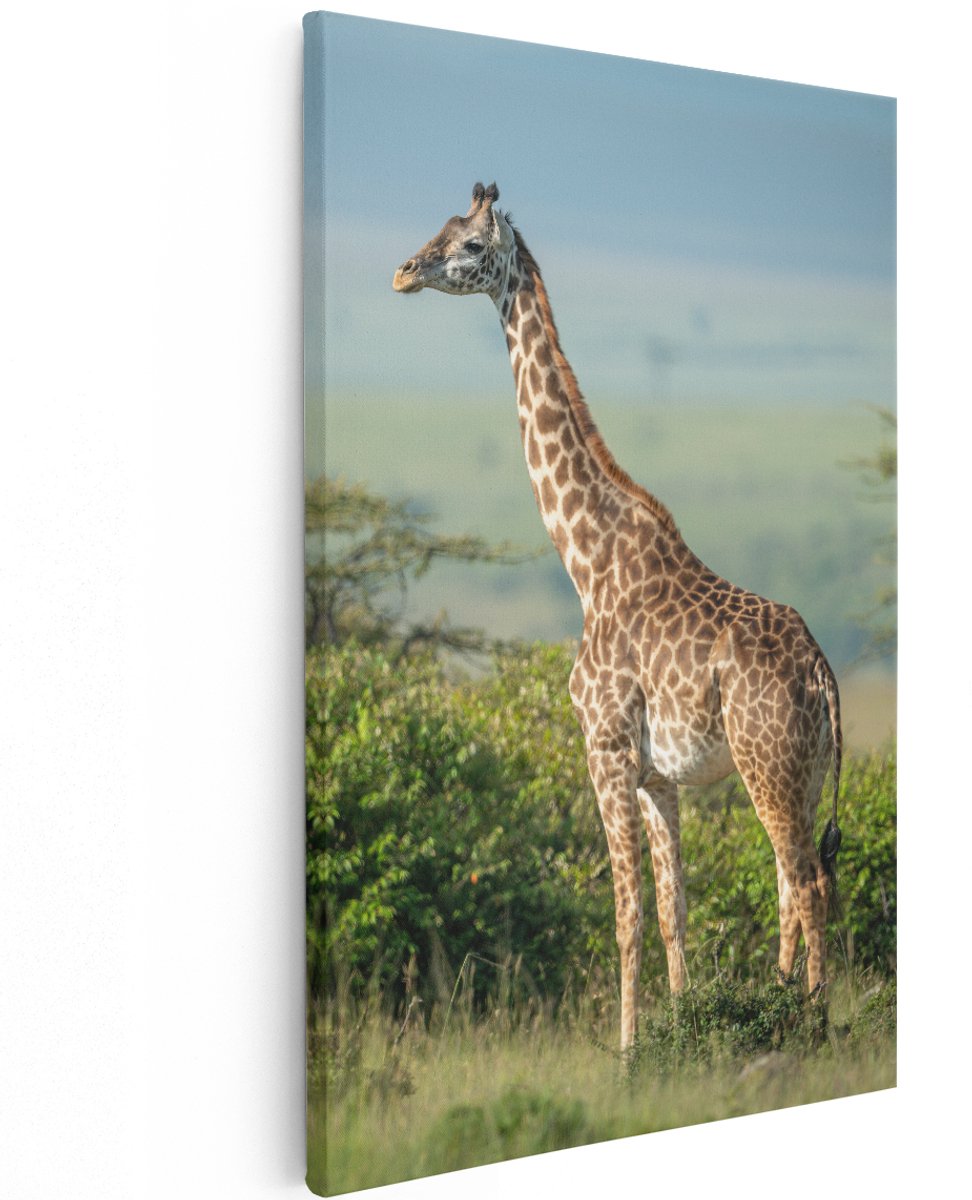 Artaza Canvas Schilderij Giraffe In Het Wild Tussen De Struiken - 120x180 cm - Groot - Wanddecoratie Woonkamer - Schilderijen - Muurdecoratie