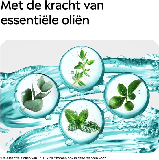 Listerine Cool Mint Mild Mondspoeling, Met Essentiële Oliën, Tegen Slechte Adem en Tandplak, Mild Muntsmaak, 3x500 ml