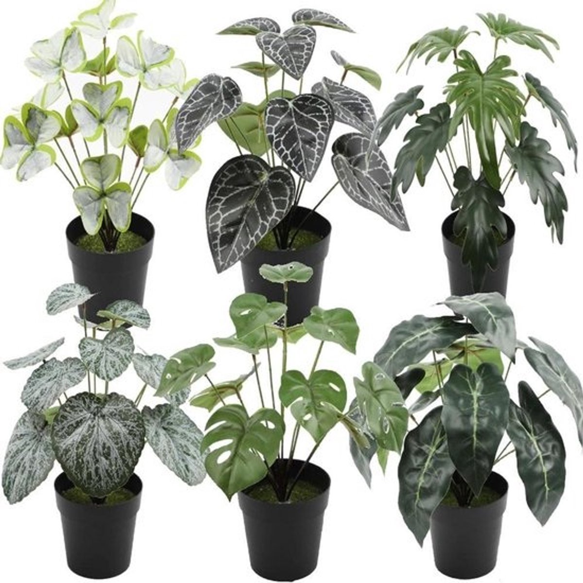 Kunstplanten 6 Stuks - Nep Planten Binnen - Woonkamer Decoratie - Onderhoudsvrij - 28 cm Hoog - Groen
