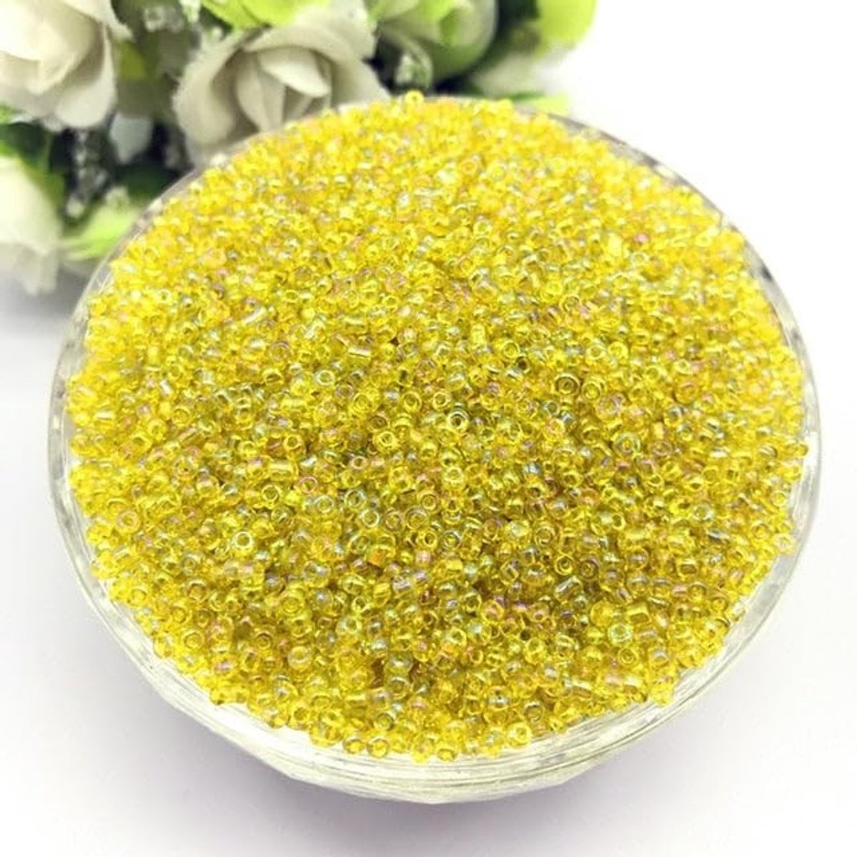 Glazen Zaadkralen - 1000 Stuks in 24 Kleuren