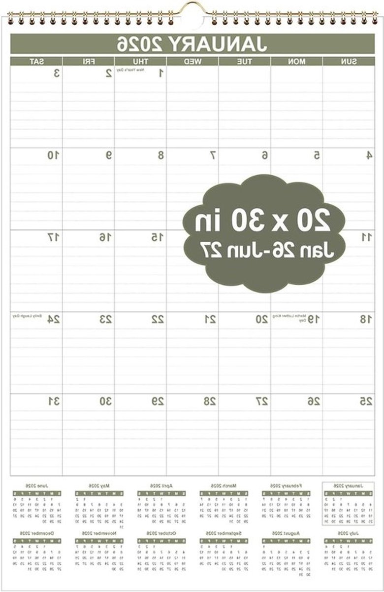 Wandkalender 2026 - Maandkalender 20 maanden - Planning en organisatie - Dikke papierkwaliteit - 508 x 762 cm - Cyaan