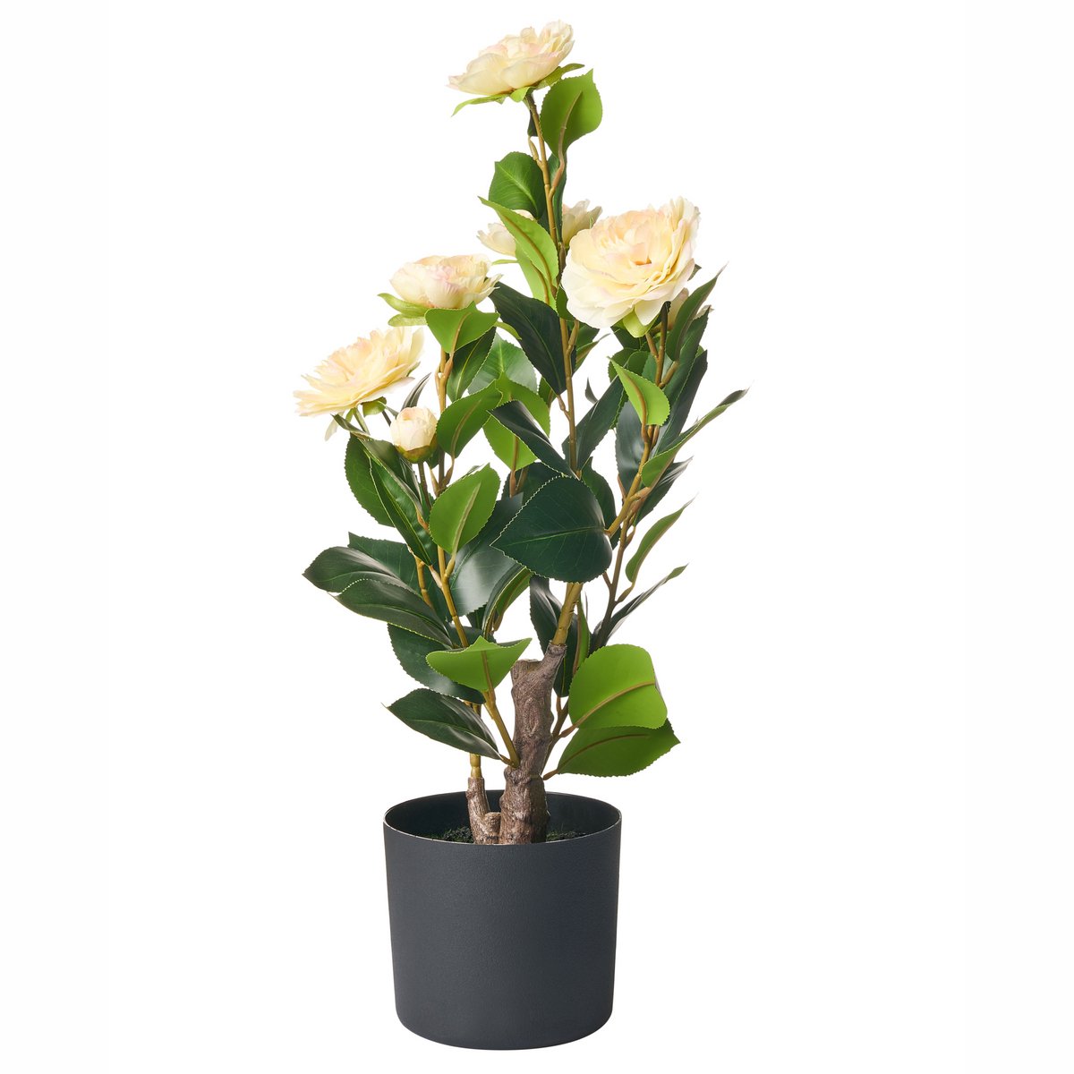 CAMELLIA - Kunstplant - Groen - 60 cm - Kunststof