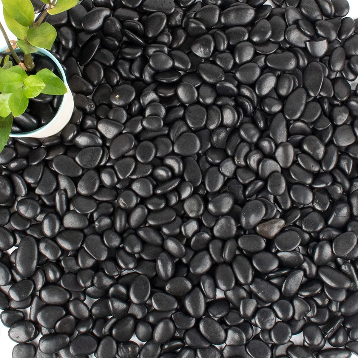 Dailygoods - Zwarte Gepolijste Kiezelstenen voor Tuin en Decoratie - 1 kg, 10-20 mm
