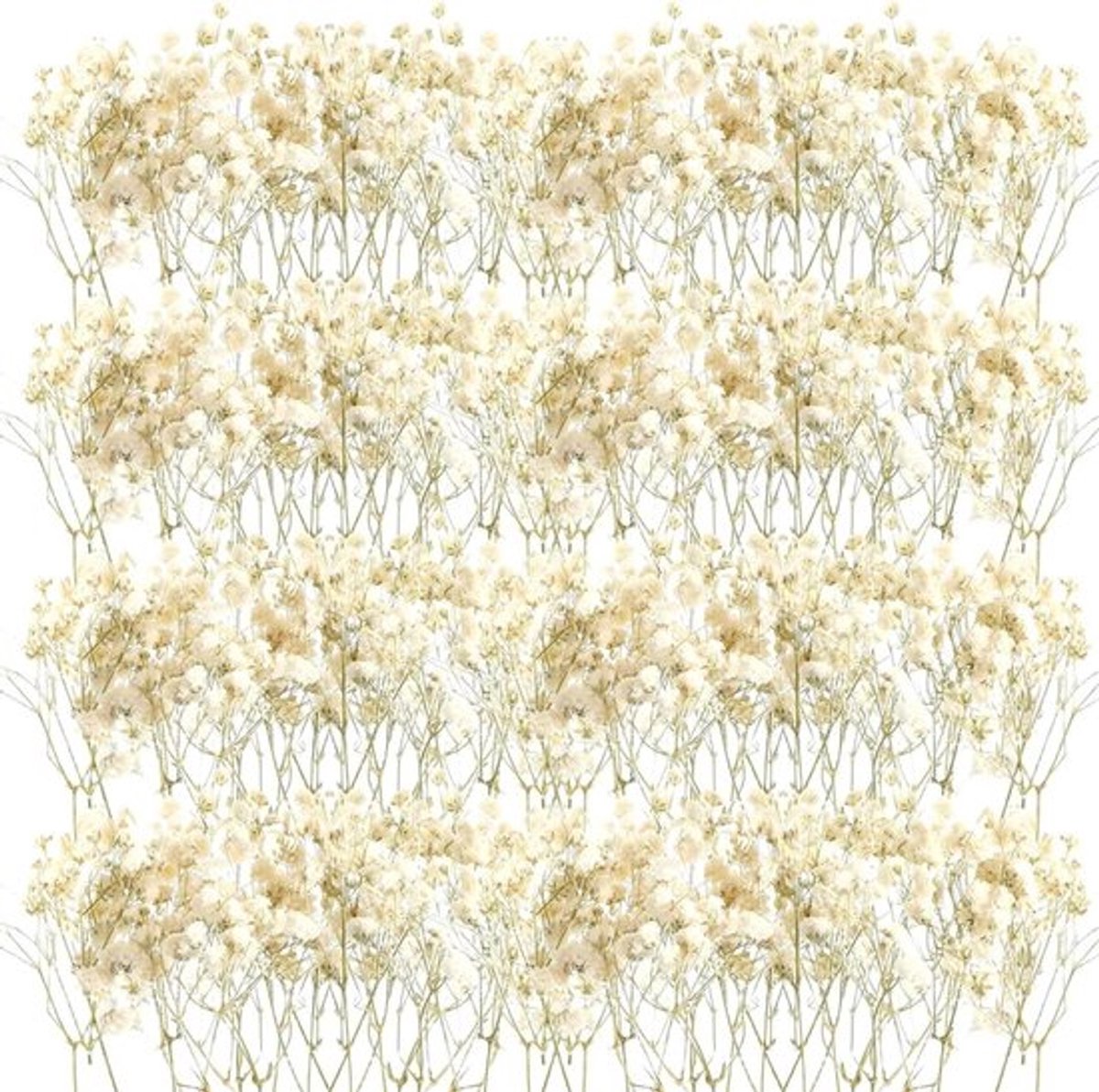 Miniaturen Dried Flowers - Witte Baby Sterrenbloemen - DIY Kaarsen, Resin, Sieraden - 50 s