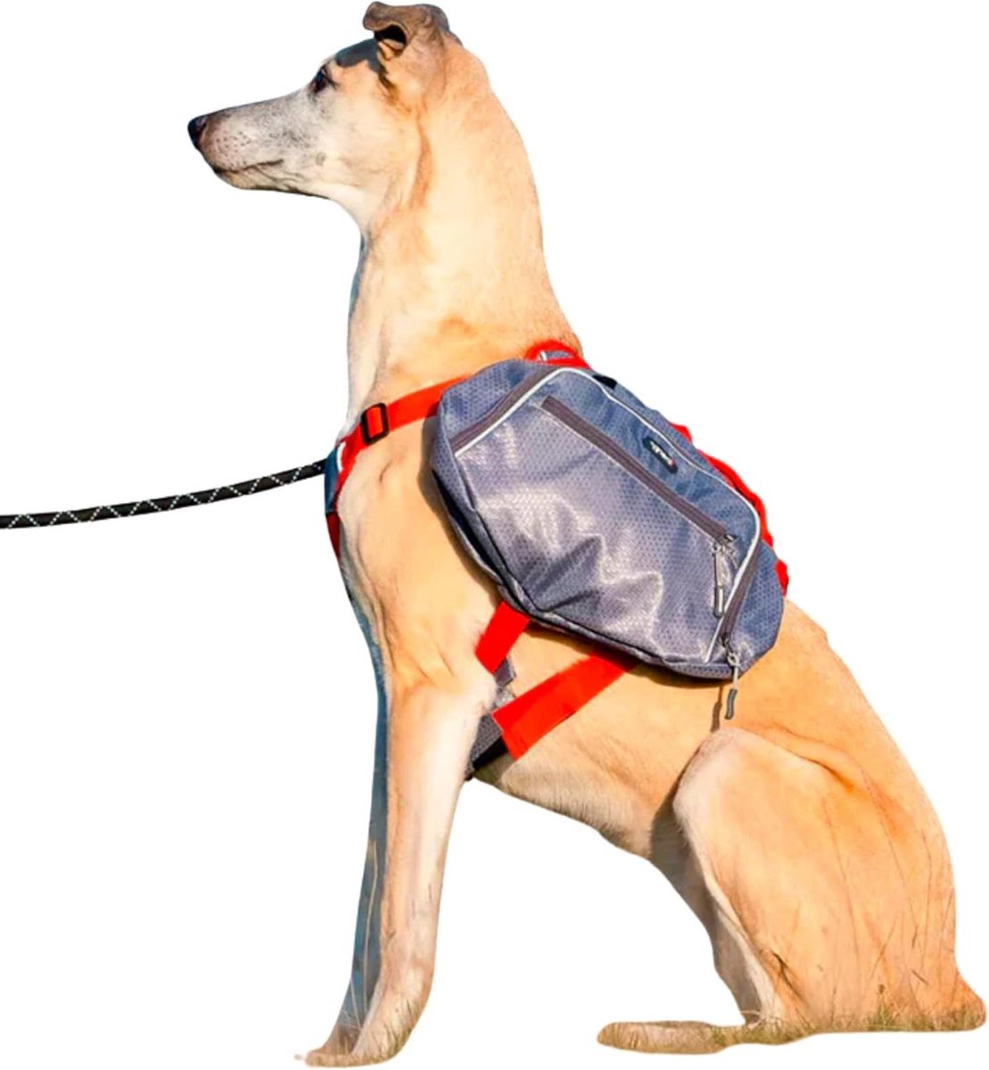 Honden Rugzak - Harnas Tas - Actieve Uitjes - 2-in-1 Ontwerp - Maat Medium - Grijs