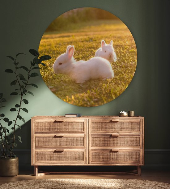 WallCircle - Wall Circle - Wall Circle Indoor - Lapins - Bébé - Wit - 140x140 cm - Décoration murale - Peintures Ronds
