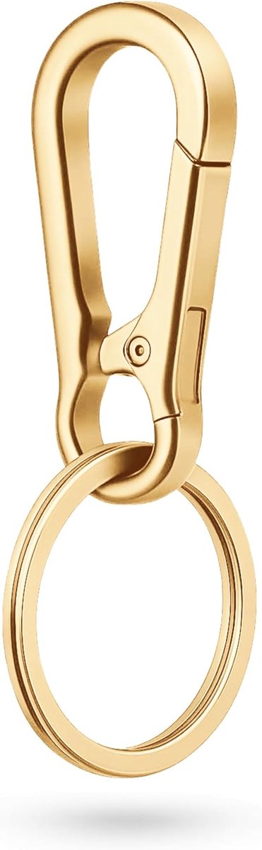 1/3/10 stuks set sleutelhangers met sleutelringen clip sleutelhanger robuuste metalen karabijnhaak met klikhaak sleutel sleutelhanger sterke karabijnhaak karabijnhaak