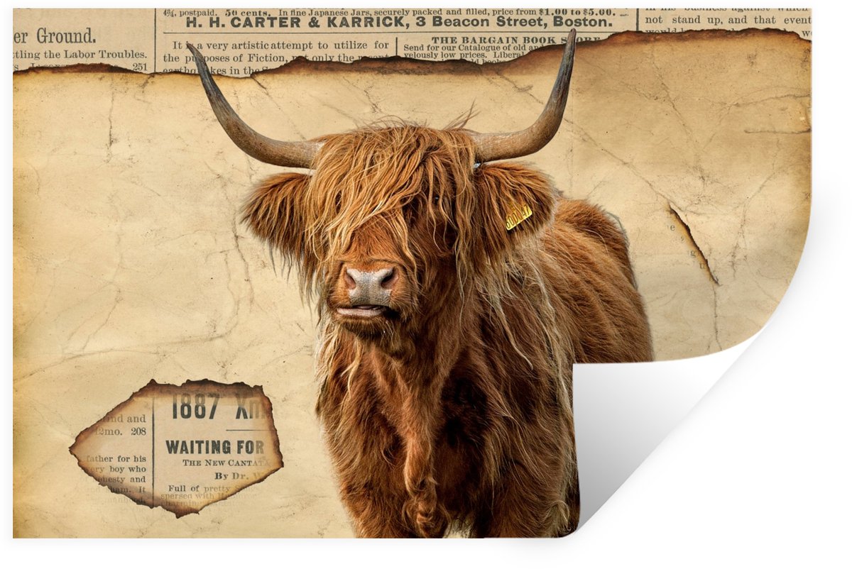 Muurstickers - Sticker Folie - Schotse hooglander - Vintage - Koe - 120x80 cm - Plakfolie 