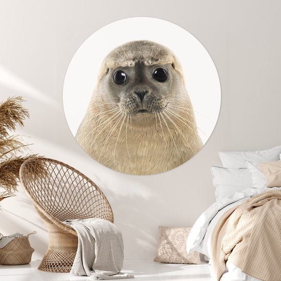 Papier peint Circle - Phoque - Beige - Animaux - ⌀ 120 cm - Wall Circle XXL