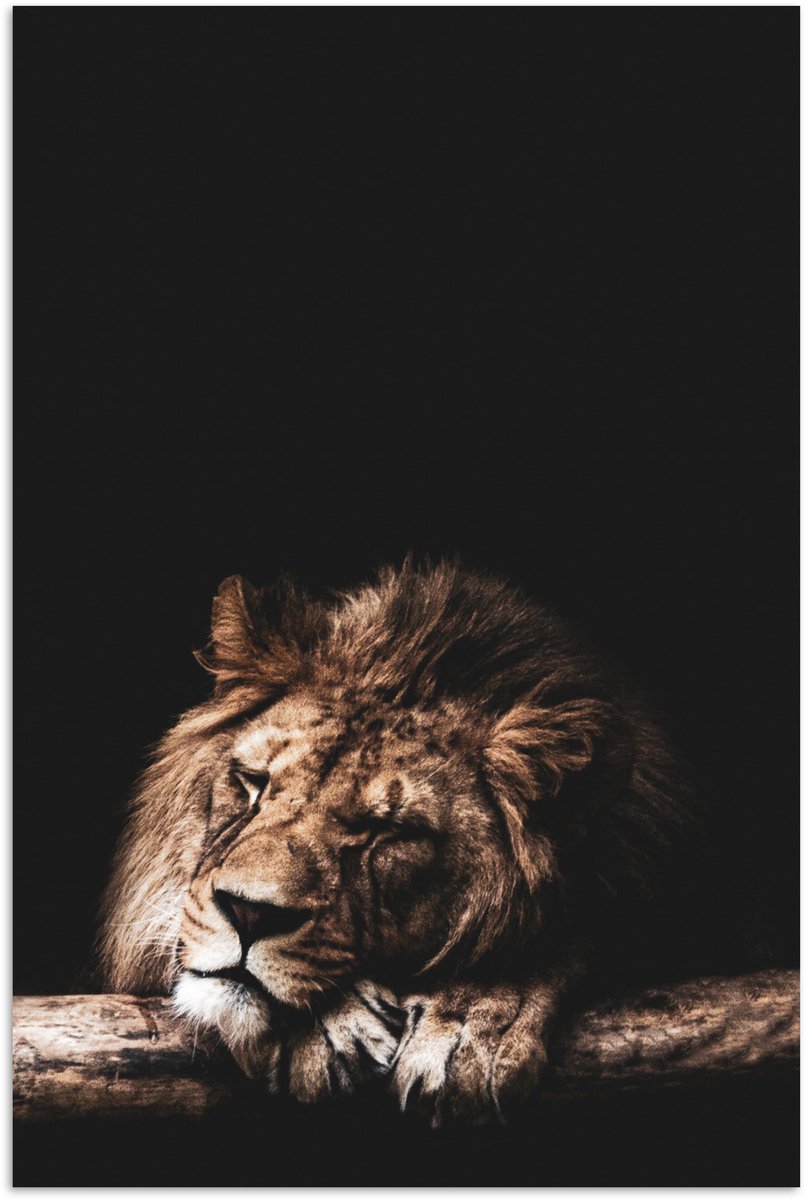 Poster 120x180 cm - Leeuw - Boomstam - Kleuren - Posters - Kamer decoratie - Wanddecoratie