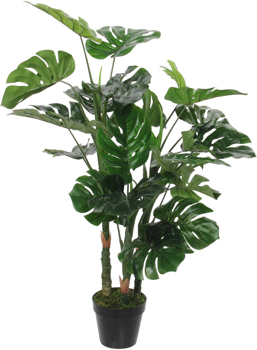 Decorations Monstera, Groen, 132