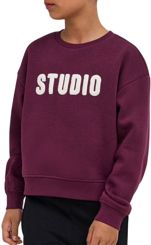 ONLY- KOGSWEAT LS CREW OVZ STAT SWT NOOS - Heren - Sweatshirt