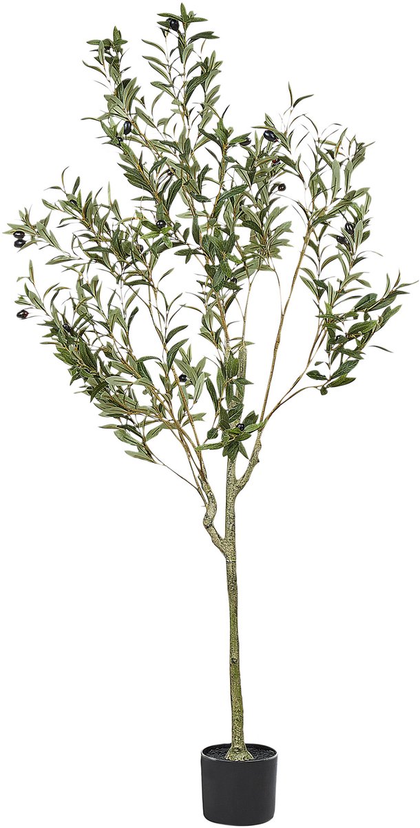 OLIVE TREE - Kunstplant - Groen - 153 cm - Synthetisch