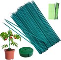Bundel groene bamboe stokken, metalen binddraad, klittenband en een tomatenplant in pot.