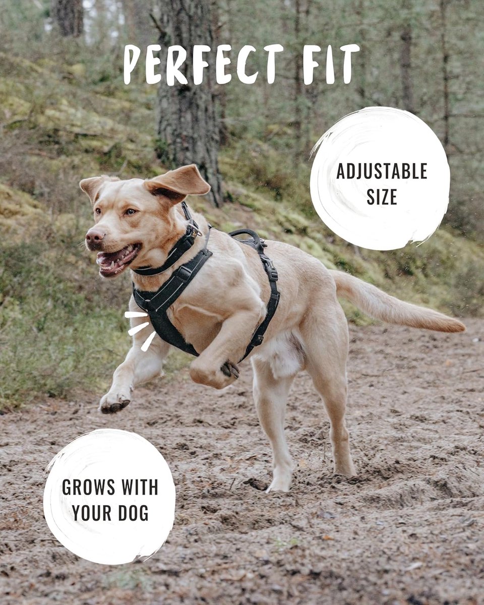 SnelShoppen - Reflecterend Hondenharnas Paola - Ergonomisch Y Design, Verstelbaar Neopreen Harnas voor Kleine en Middelgrote Honden met Handvat