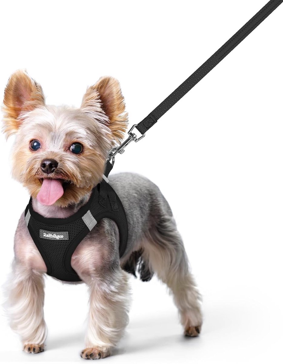Thijox - Harnas Hond Klein XS met Riem, Reflecterend en Anti-trek, Zwart, Ademend en Zacht Mesh, Lichtgewicht Comfort, Verstelbaar Stap-in Hondentuig