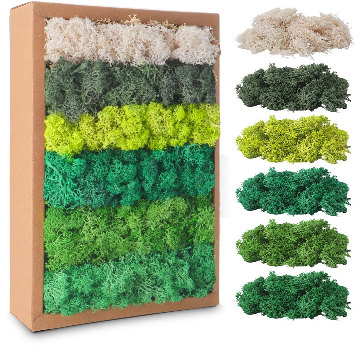 Decoraties, decoratief kunstmos in 6 verschillende kleuren, gestabiliseerd vlecht, rendiermos voor modelbouw, doe-het-zelf mos