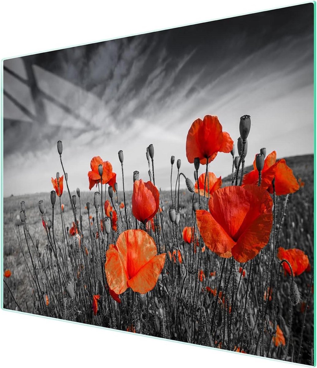 Glazen Plaat - Snijplank Kookplaat - Keuken Beschermen - Gehard Glas - 52 x 30 cm - Decoratief