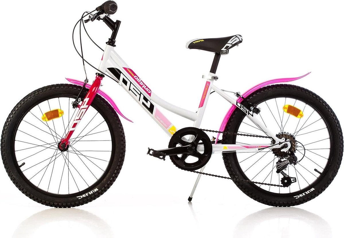 Kinderfiets - Mountainbike - Buiten Spelen - 6 Versnellingen - 20 Inch - Blauw