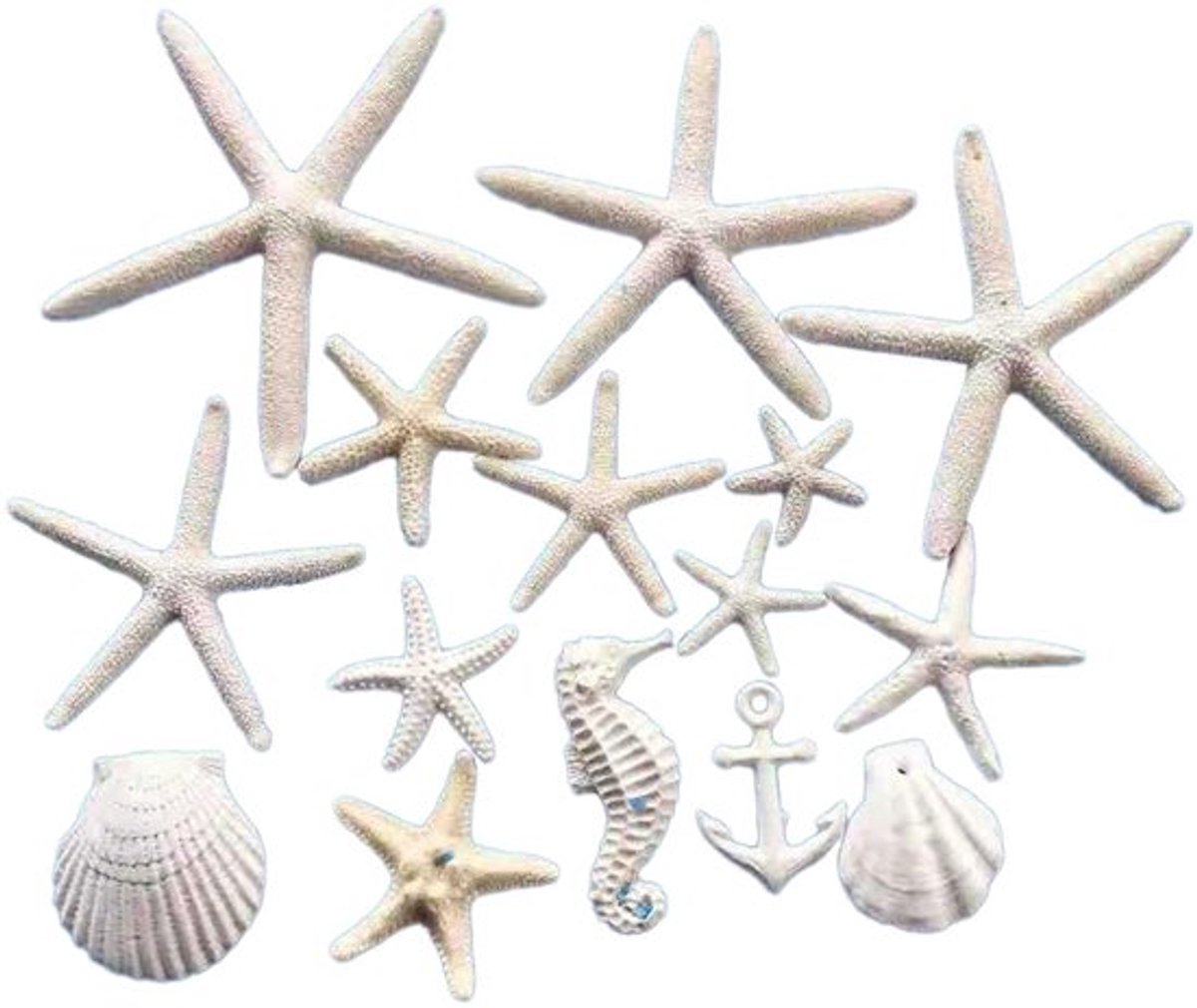 Store_9 - Aquariumdecoratie - Zeesterren en Zeepaardjes - 15 stuks