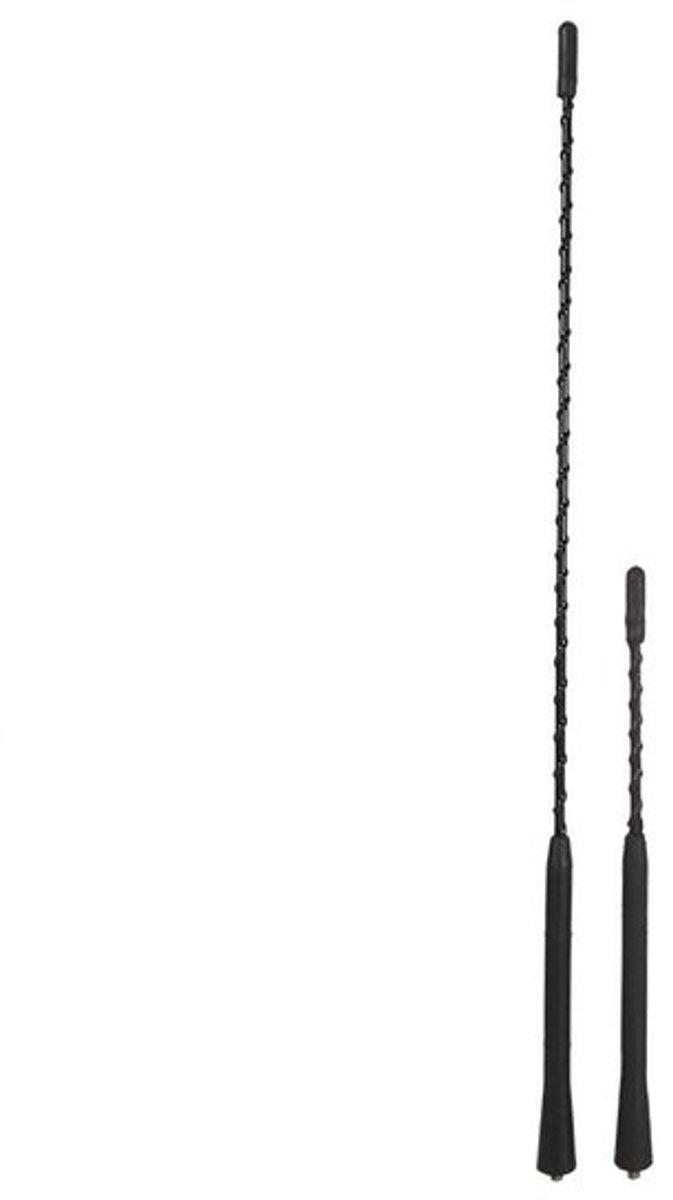 Solidchoice - Dailygoody - Car Antenna - Universele Dakenantenne - Geschikt voor FM